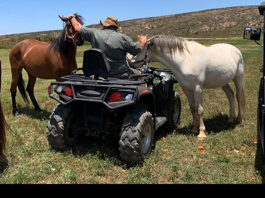 Rooilande Guest Farm Διαμέρισμα Laingsburg Εξωτερικό φωτογραφία