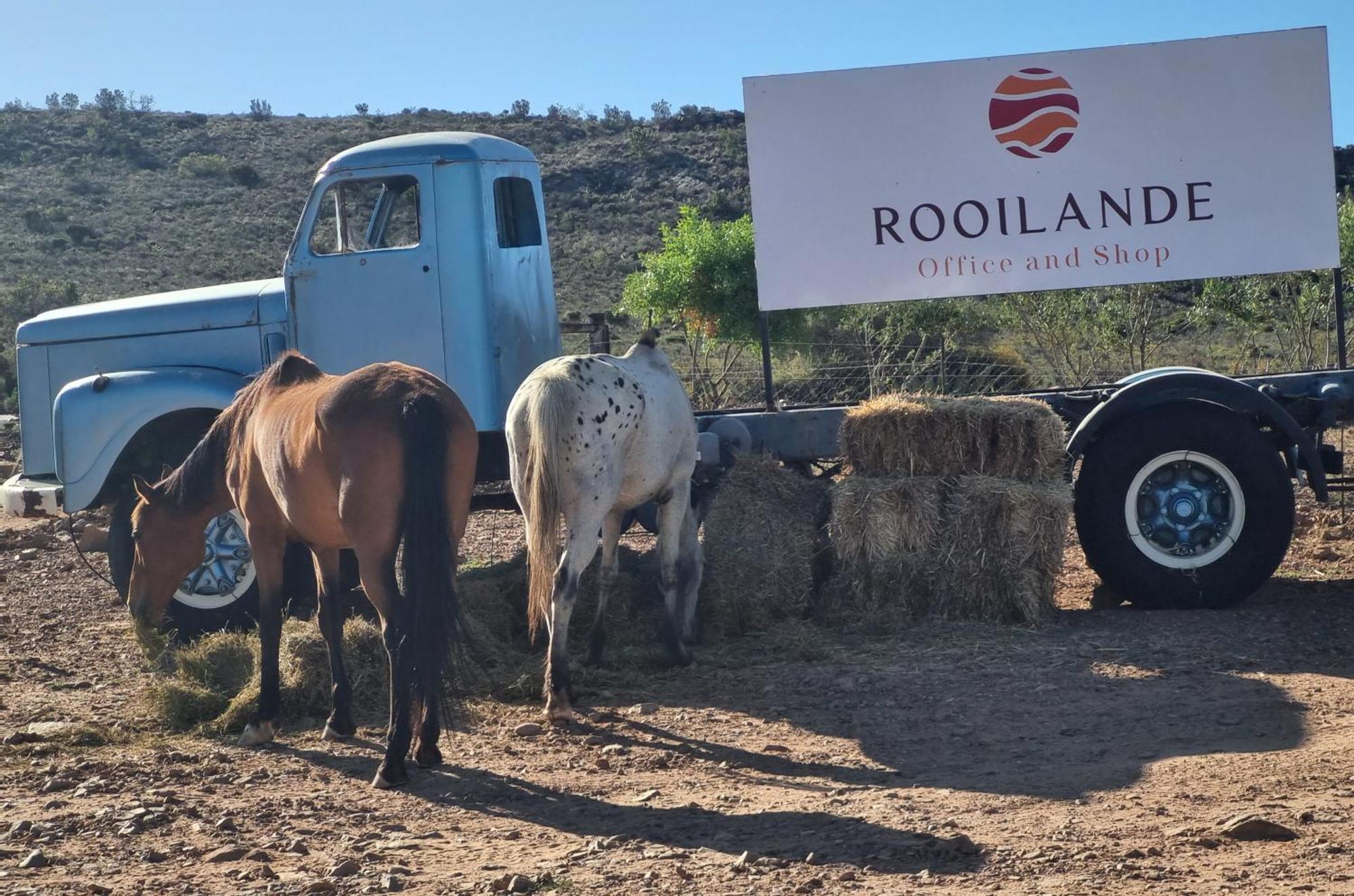 Rooilande Guest Farm Διαμέρισμα Laingsburg Εξωτερικό φωτογραφία