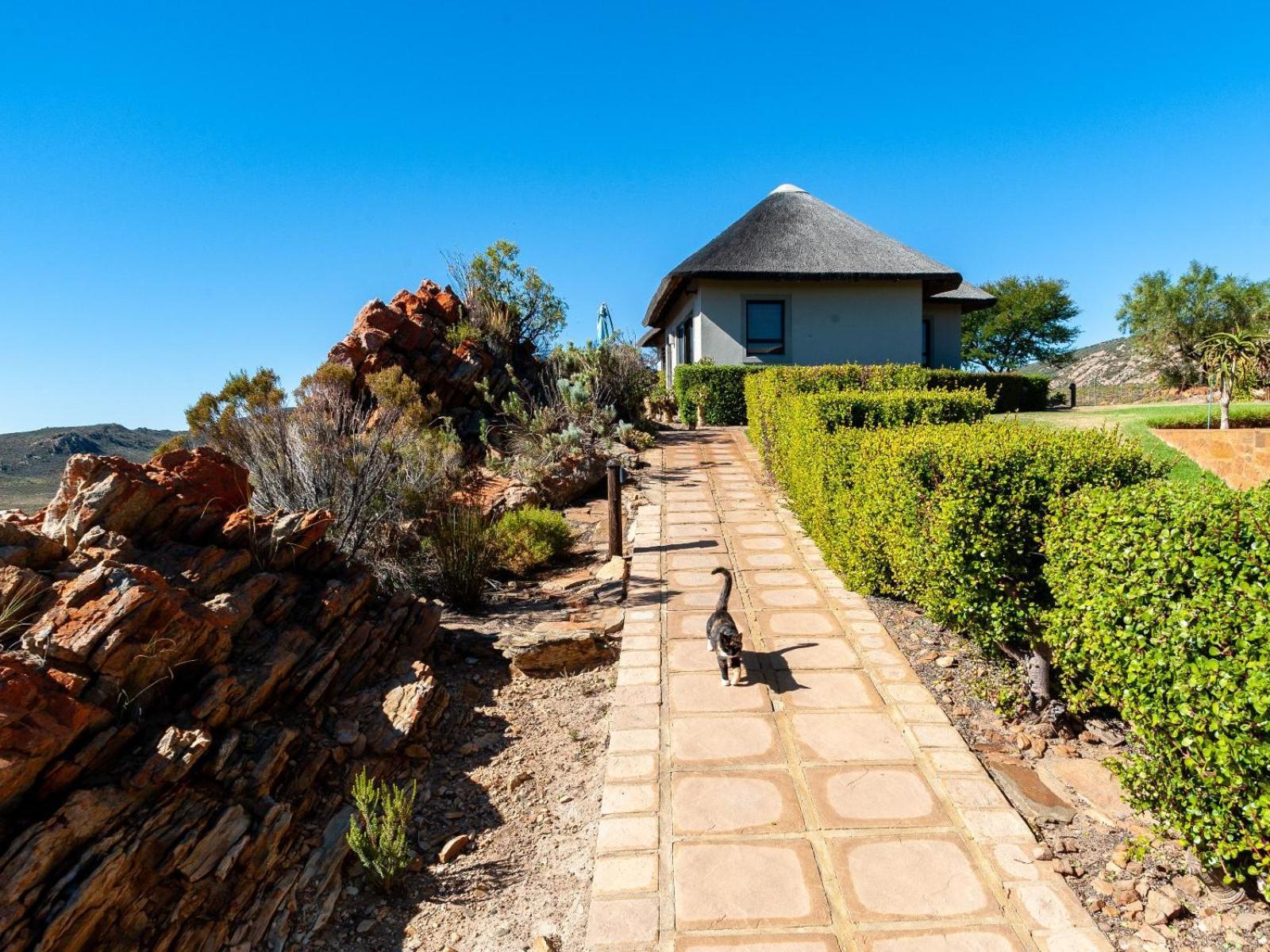 Rooilande Guest Farm Διαμέρισμα Laingsburg Εξωτερικό φωτογραφία