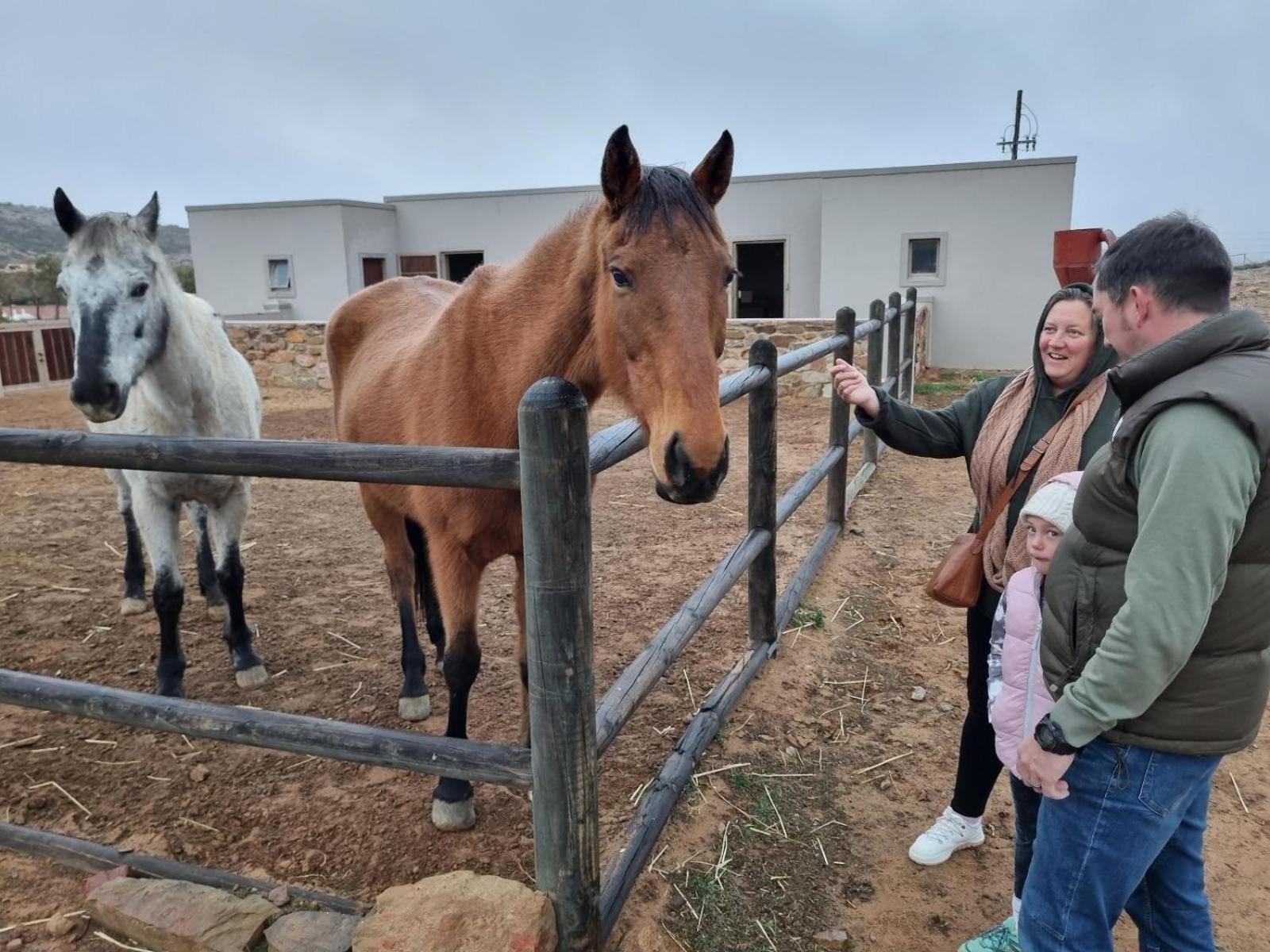 Rooilande Guest Farm Διαμέρισμα Laingsburg Εξωτερικό φωτογραφία